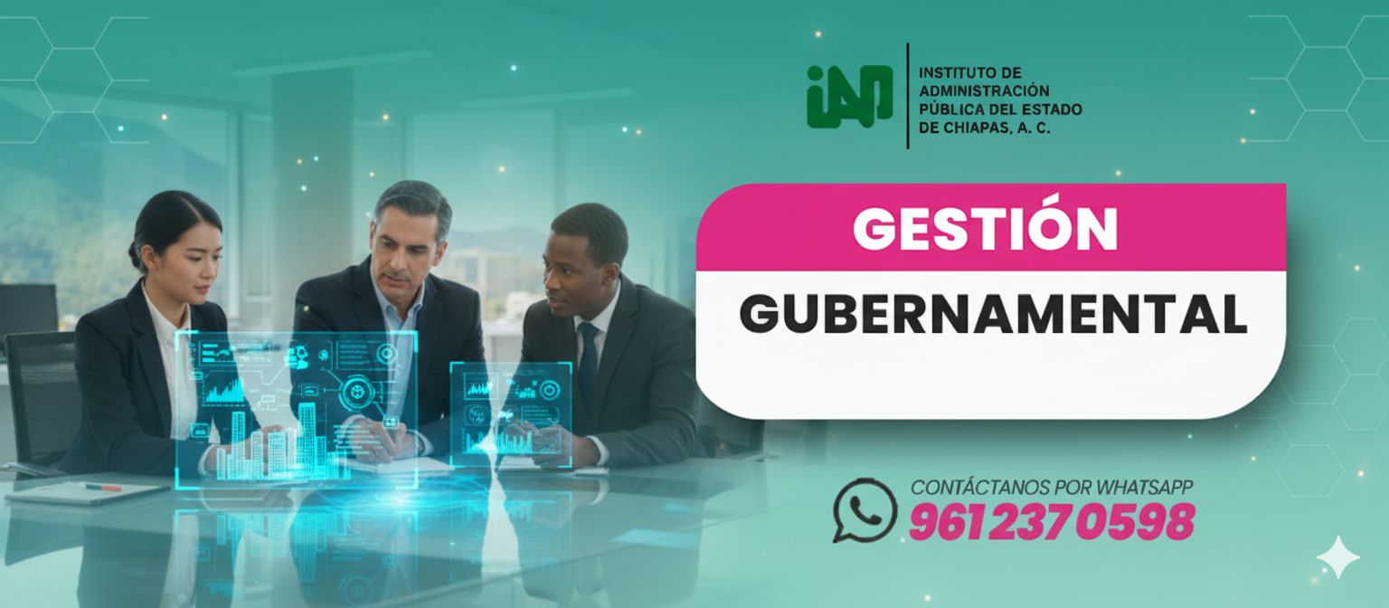 Imagen del curso Gestión Gubernamental
