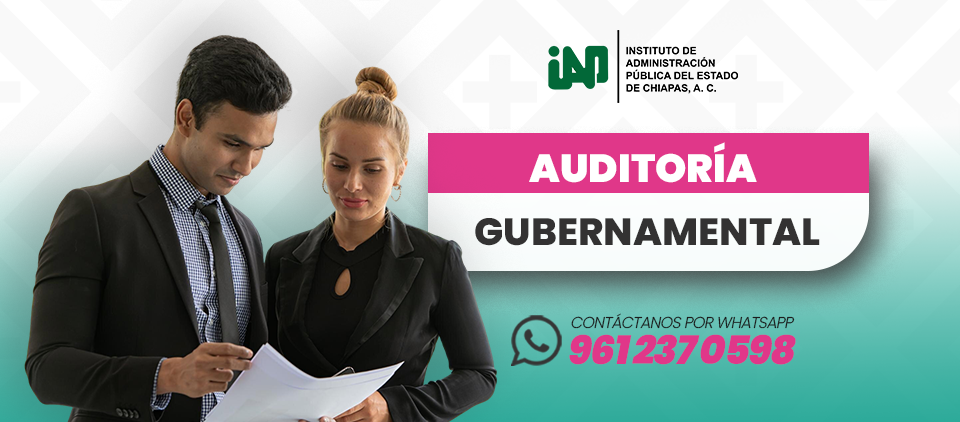 Imagen del curso Auditoría Gubernamental