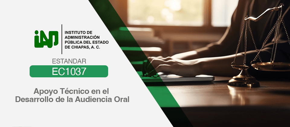 Imagen de Apoyo Técnico en el Desarrollo de la Audiencia Oral